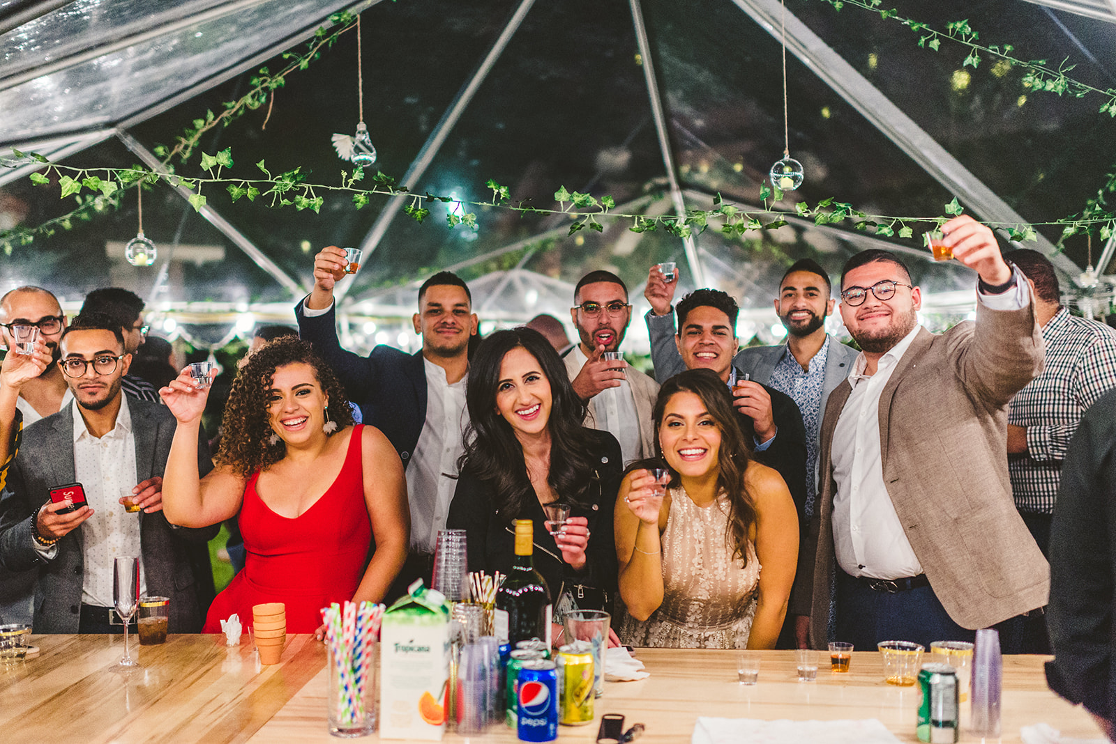 A group of people dressed in semi-formal attire raise their glasses for a toast at a lively BlogTo-featured party under a clear tent decorated with string lights and hanging greenery. Drinks and party supplies are on the table in front.